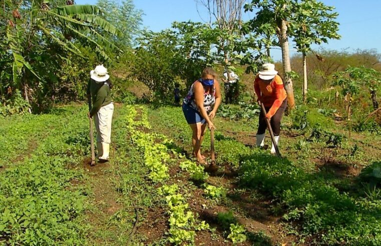 #05 – Acesso a saberes e inovações rurais: Melhores condições de vida