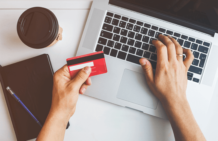 Compras pela internet: comportamento do usuário