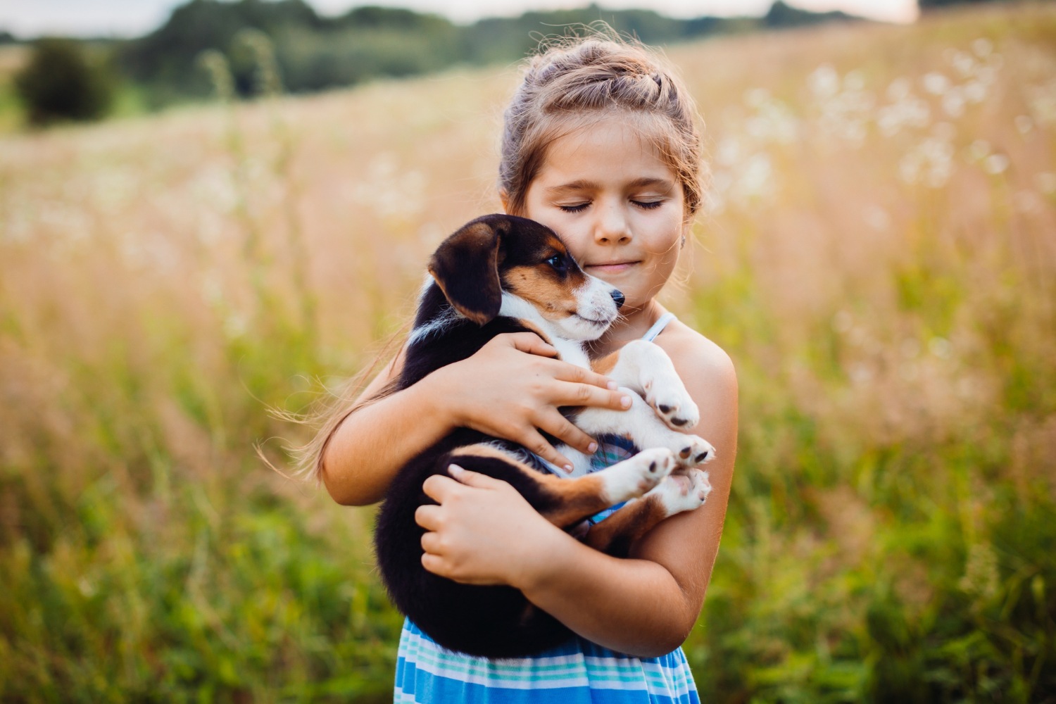 Pets e Crianças Autistas