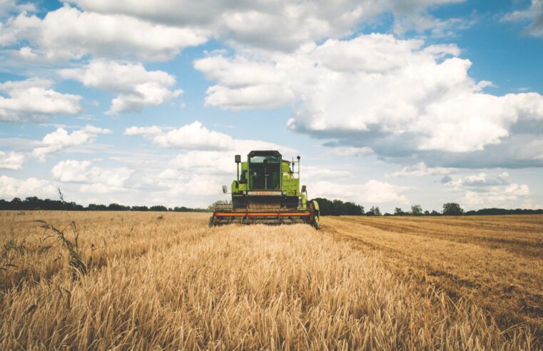 A força do agronegócio no Brasil: O poder da economia brasileira