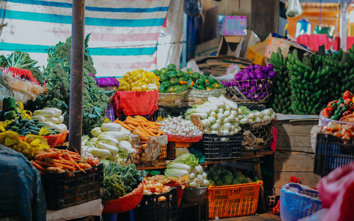 Veganismo possível é político, popular e acessível