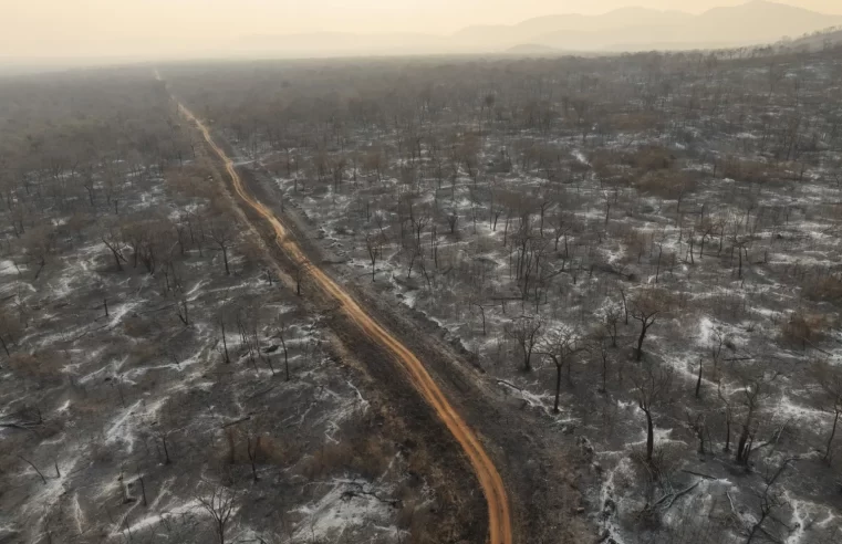 Brasil em chamas: queimadas expõem falta de preparo para enfrentar crise climática