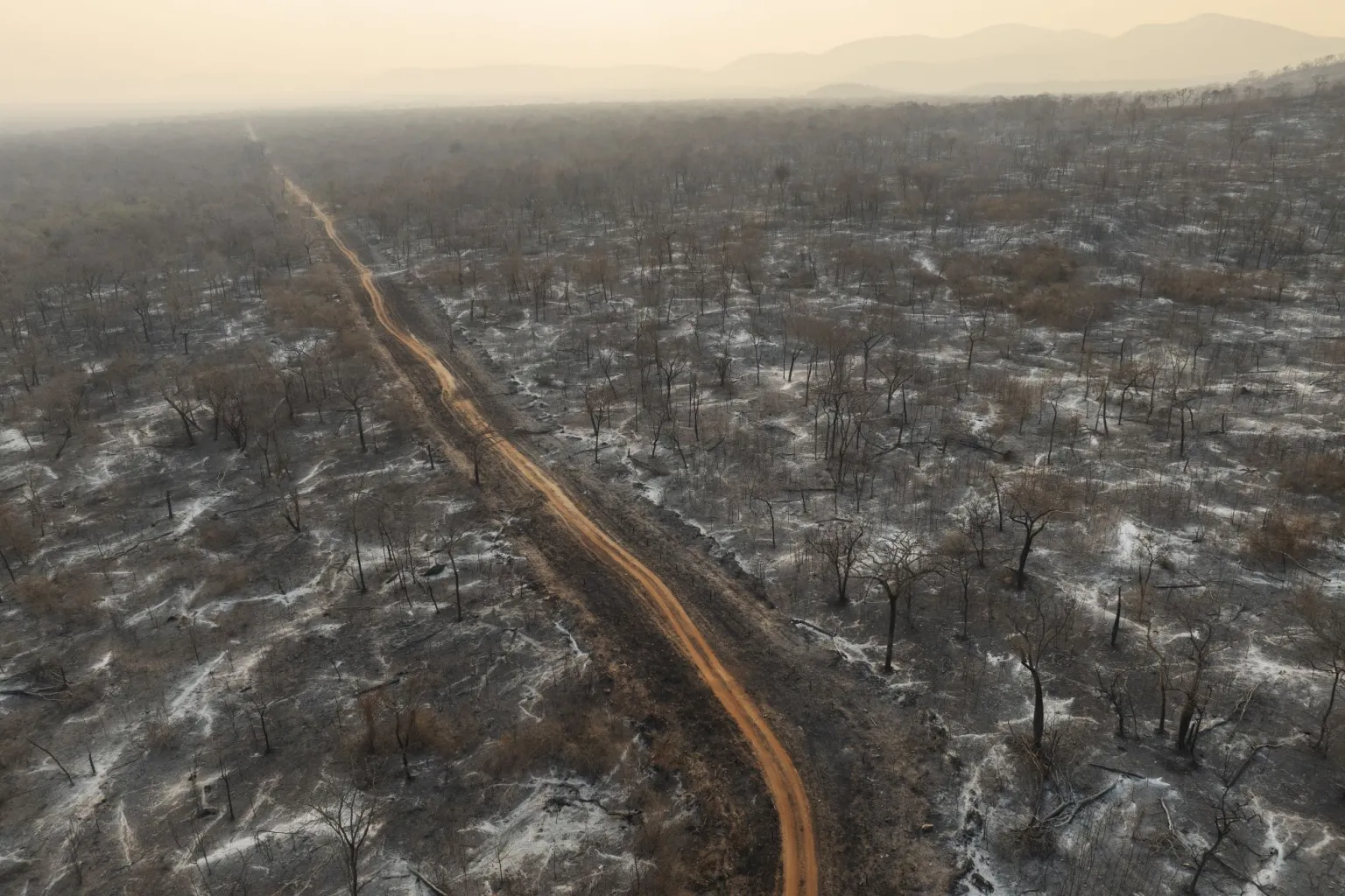 Brasil em chamas: queimadas expõem falta de preparo para enfrentar crise climática