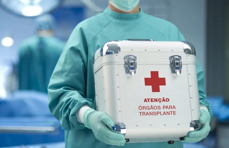 TV MJ – Como está o transplante de órgãos após a calamidade no RS?