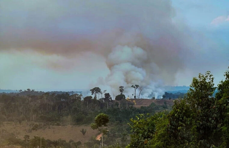 Idesam lança campanha para ajudar agricultores afetados por queimadas no Amazonas