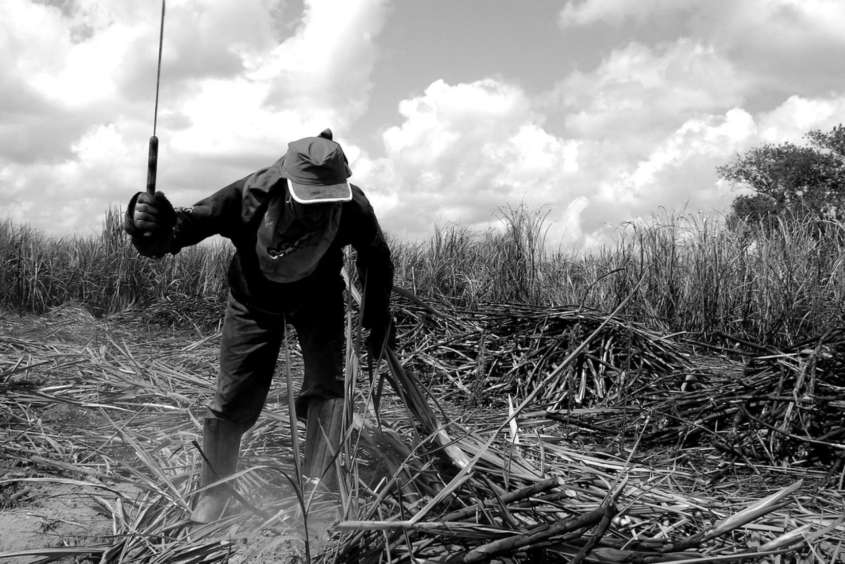 Ação da CPT destaca perfil das vítimas de trabalho escravo no Brasil