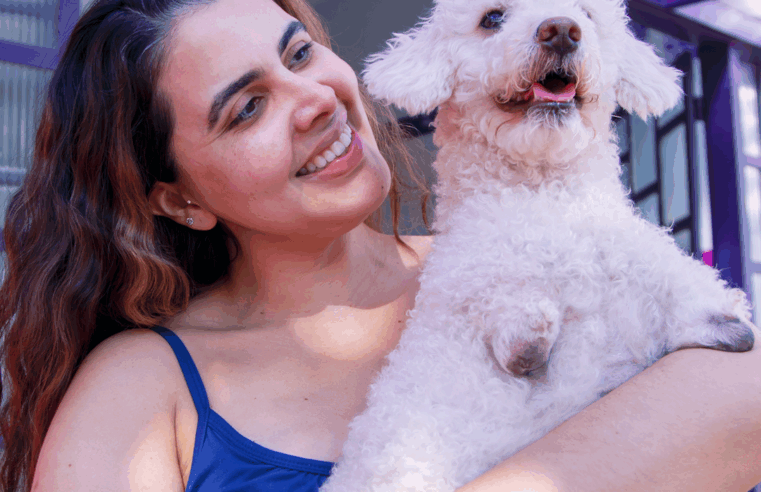 Cão sem patas dianteiras volta a andar com protótipo de cadeira de rodas inédito