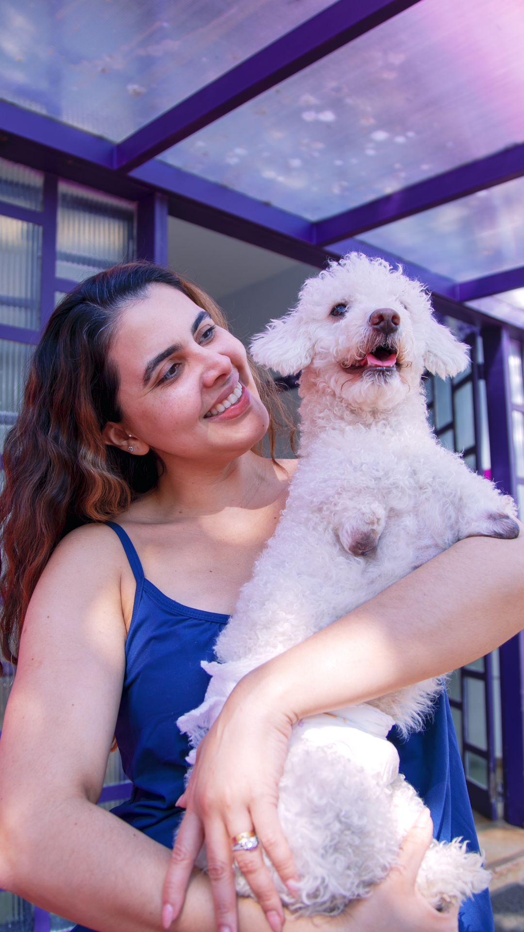 Cão sem patas dianteiras volta a andar com protótipo de cadeira de rodas inédito