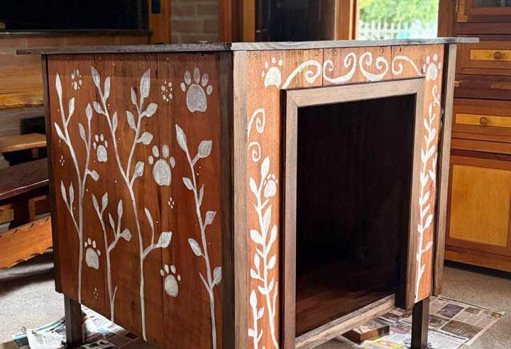 Estudantes da Feevale projetam casinhas mais seguras para cães